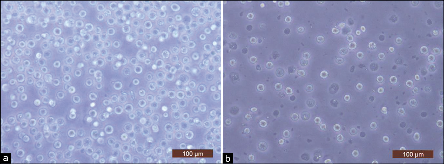 Representative light microscope images (×20) of (a) freshly isolated chondrocytes (day 0) and (b) cryopreserved cells (day 8).