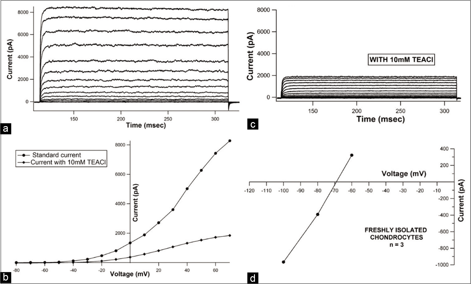 Representative current tracings from a fresh chondrocyte (a) recorded under control conditions, and (b) after exposure to 10 mM Tetra-ethyl-ammoniumchloride (TEACl). (Protocol:VHold= −80 mV, depolarizing steps ranging from −80 mV to +70 mV with an increment of 10 mV were applied) (c) representative current-voltage (I-V) curve before and after addition of 10 mM TEACl showing drop in peak current magnitude at every voltage step seen after addition of 10 mM TEACl (d) representative leak subtracted instantaneous tail current I-V curve depicting reversal potential for a freshly isolated chondrocyte.