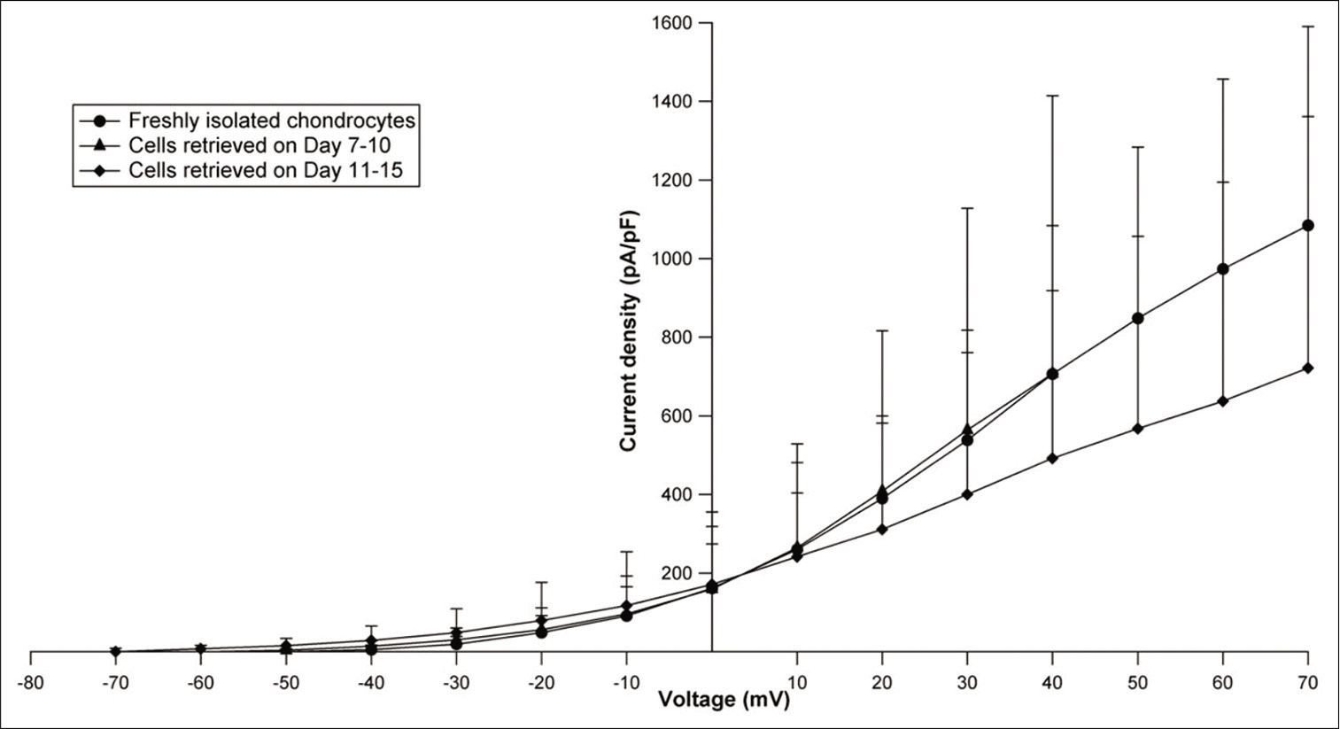 Current-voltage curves plotted using mean current densities and membrane voltage for fresh and cryopreserved chondrocytes (Groups 1 and 2). The last 3 points for Group 1 (day 7–10) have not been plotted as the value of “n” was unequal.