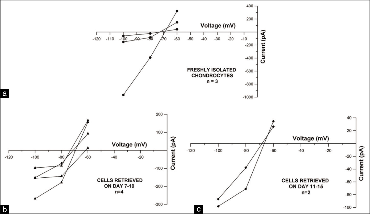 Current-voltage plot displaying leak subtracted current versus voltage to depict reversal potential for (a) freshly isolated chondrocytes (n = 3), (b) Group 1 cryopreserved cells (n = 4) and (c) Group 2 cryopreserved cells (n = 2).