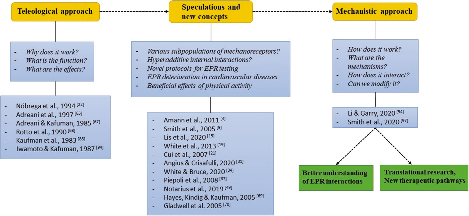 The flow chart diagram depicts the concept of changing paradigm in exercise pressor reflex (EPR) testing. Starting with teleological approach and experiments that revealed functions and effects of EPR, going through speculations and new concepts made on the basis of teleological studies, ending on mechanistic approach, focused on precise mechanisms which enable better understanding of EPR interactions and opening new therapeutic possibilities.