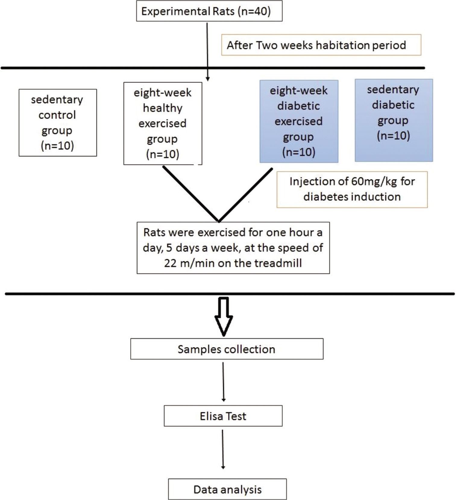 Consort diagram of research.