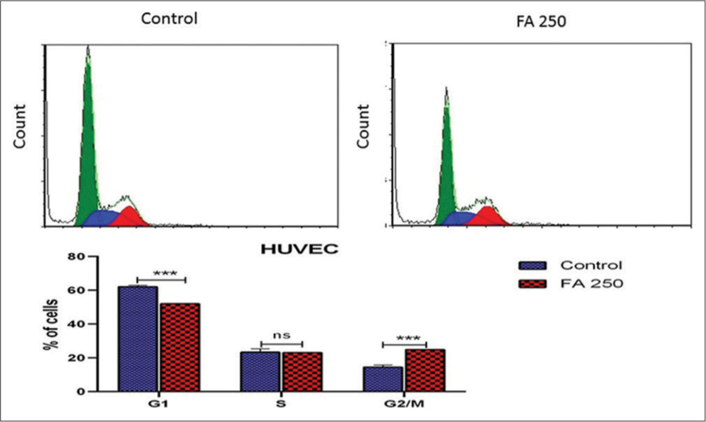 Effect of the ethanolic extract of Ferula assa-foetida (EEFA) on the progression of hypoxia-induced human umbilical vein endothelial cells (HUVECs) in the cell cycle. The cell cycle was analysed by PI staining for DNA content. EEFA caused G2/M arrest in hypoxic-stimulated HUVECs The DNA histograms are representative of three separate experiments. The data are expressed as a mean ± SD.