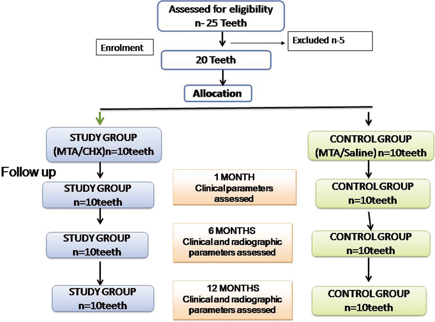 Consort flow chart of the randomized control clinical trial.