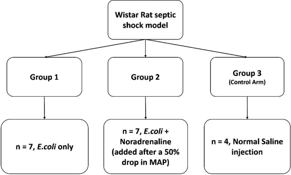 Scheme of experiments.