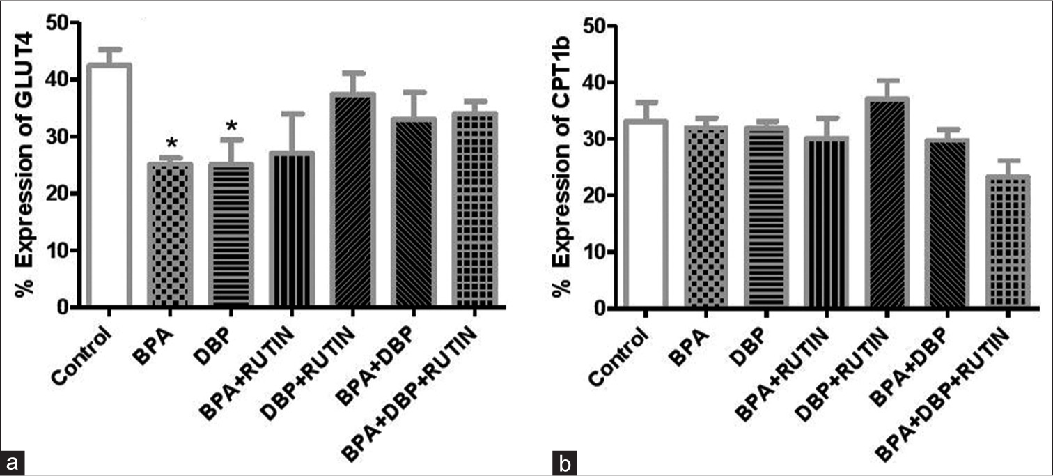 Effects of Rt on cardiac (a) GLUT4 and (b) carnitine palmitoyltransferase 1β, in plasticizers exposed Wistar rats. Effects of Rt on cardiac (a) GLUT4 and (b) CPT1β, in plasticizers exposed Wistar rats. The % expression of GLUT 4 decreased significantly (P < 0.05) following administration of BPA and DBP when compared to the control (P = 0.0145, 0.0394). There were no significant changes in the % expression of CPT1β. Data are expressed as mean ± SEM. n = 6 and analysed by one-way ANOVA, followed by Newman–Keuls post hoc test (*P < 0.05 vs. control). Rt: Rutin, BPA: Bisphenol A, DBP: Dibutyl phthalate, GLUT4: Glucose transporter 4, CPT1β: Carnitine palmitoyltransferase 1β.