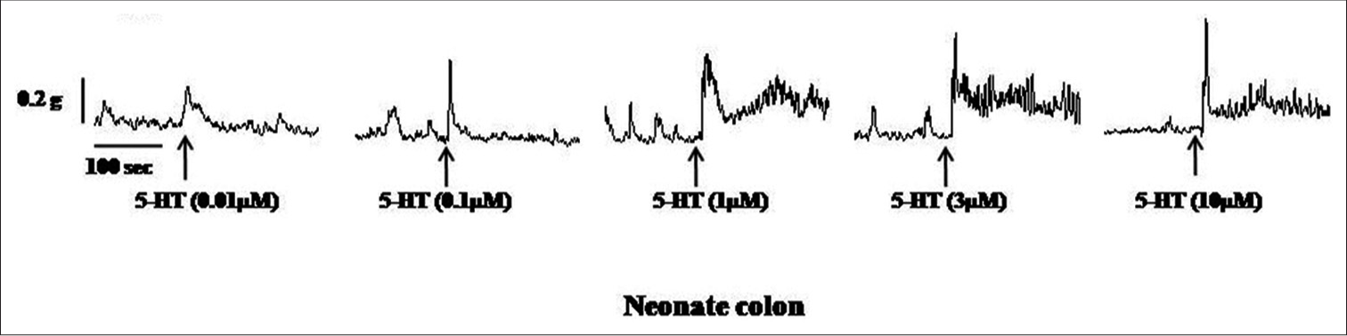 Samples of the original recording of 5-hydroxytryptamine (5 HT) (0.01–10 μM)-induced contractions of colon a from neonate rats.