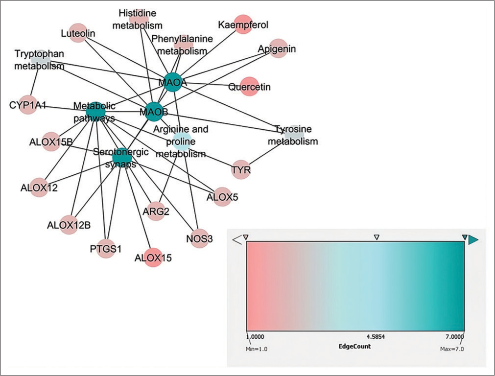 Network representation of Cynodon dactylon phytocompounds-target proteins pathways.