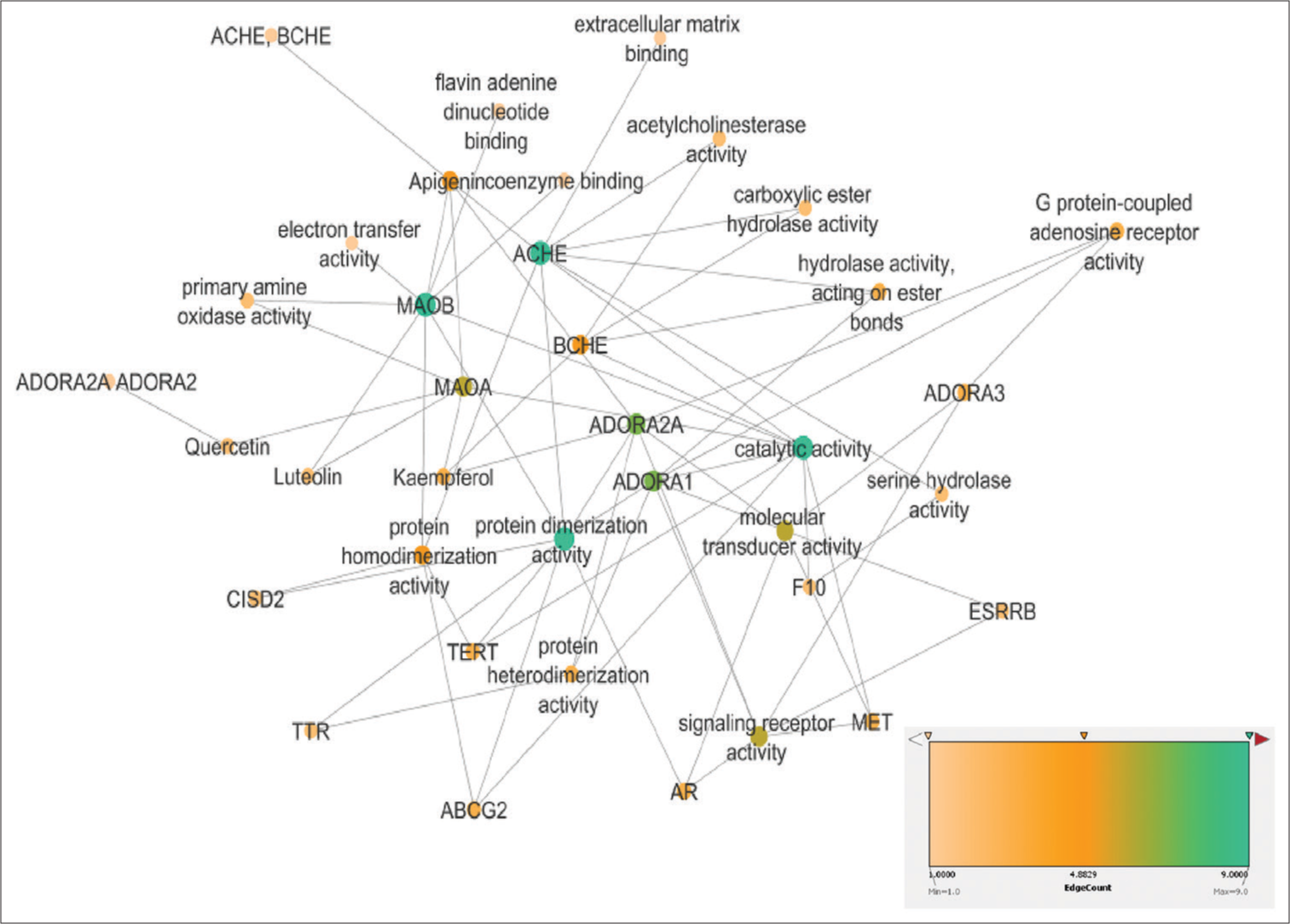 Gene ontology presentation of Cynodon dactylon phytocompounds-target proteins pathways.