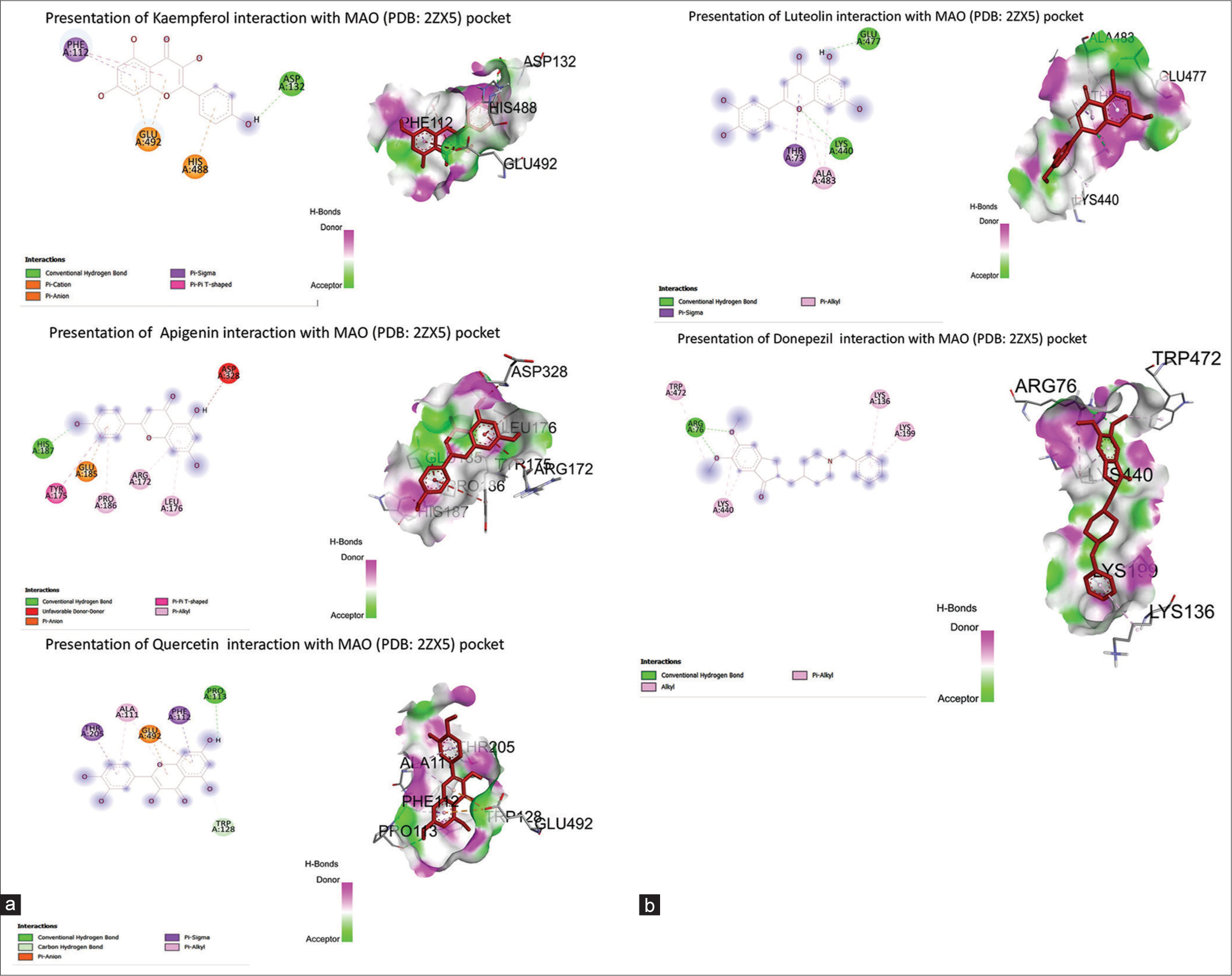 (a and b) Presentation of Cynodon dactylon bioactives interaction with monoamine oxidase (Protein Data Bank ID: 2Z5X) pocket. AChE: Acetylcholinesterase