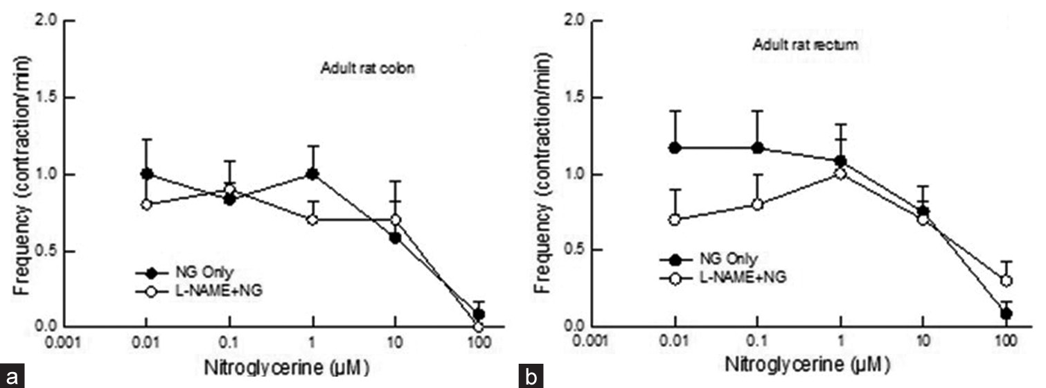 Dose-response curve showing the effect of NG (0.01–100 mM) on contractile frequency in adult rat (a) colon (b) rectum before and after L-NAME application. Application of NG, did not show any difference in frequency in colon and rectum after application of L-NAME (P > 0.05, two-way Analysis of Variance, n = 5–6). Data points indicate mean ± standard error of the mean values. NG: Nitroglycerin, L-NAME: N--nitro-L-arginine methyl ester.