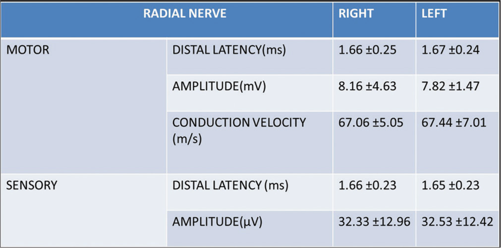 The motor and sensory parameters of the radial nerve of the study population (n = 311). (ms-milliseconds, mV-millivolts, m/s-metres/second and µV-microvolts).