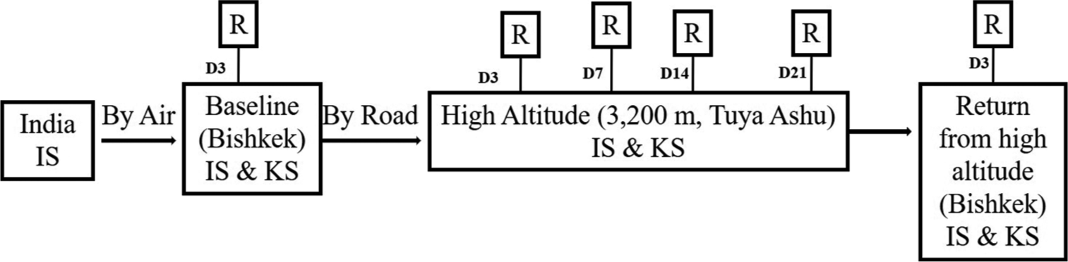 Schematic diagram of the experimental protocol. Indian soldiers (IS) reached Bishkek by air, and baseline recordings (R) were performed on both IS and Kyrgyz soldiers (KS) on day 3 (D3). Soldiers were transported by road from Bishkek to 3,200 m altitude (Tuya Ashu) where they stayed for 21 days. High-altitude R’s were carried out on day 3 (D3), day 7 (D7), day 14 (D14), and day 21 (D21). After that, soldiers were returned from high altitude to Bishkek by road and all the parameters were recorded on day 3.