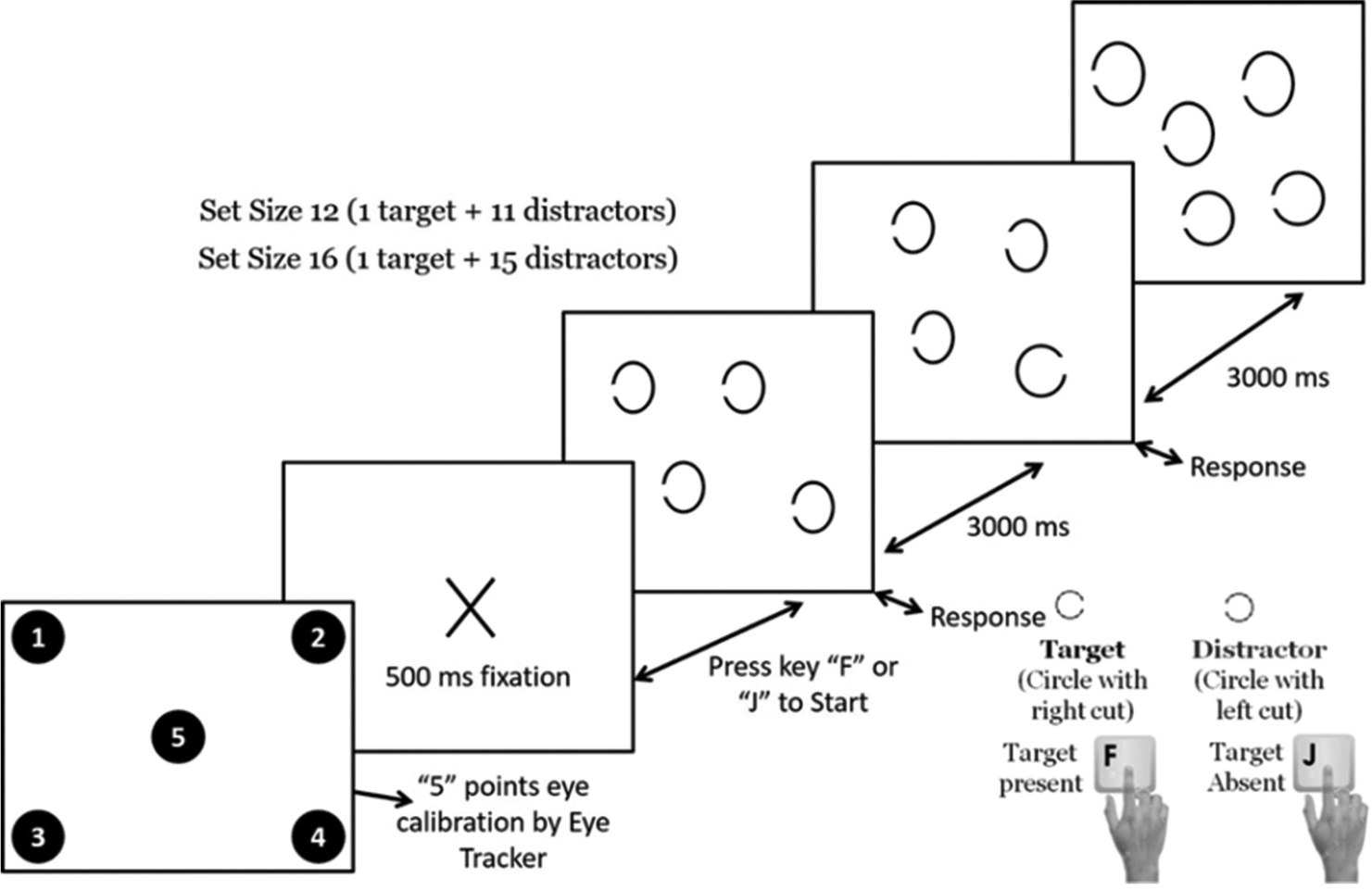 Schematic presentation of Visual search experiment which started with ‘5’ points eye calibration followed by a 500 ms fixation on ‘X.’ The experiment started by pressing of keys ‘F’ or ‘J’ and the matrix with set sizes ‘12’ and ‘16’ started appearing, response time was registered by pressing the ‘F’ and ‘J’ keys for the target present and absent respectively.