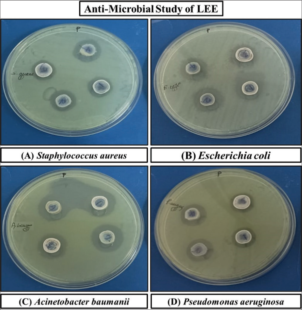 Antibacterial activities of Leaf ethanolic extract (LEE) against different bacterial strains.